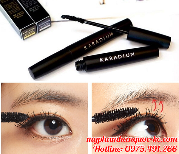 karadium_result