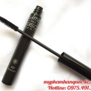mascara_result