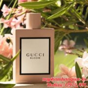 vignetteoverlaybackground-488830999990099-001-default_result
